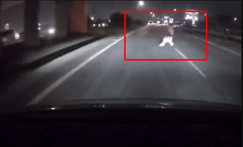 Tình huống nguy hiểm người đi bộ crossing quốc lộ vào ban đêm
