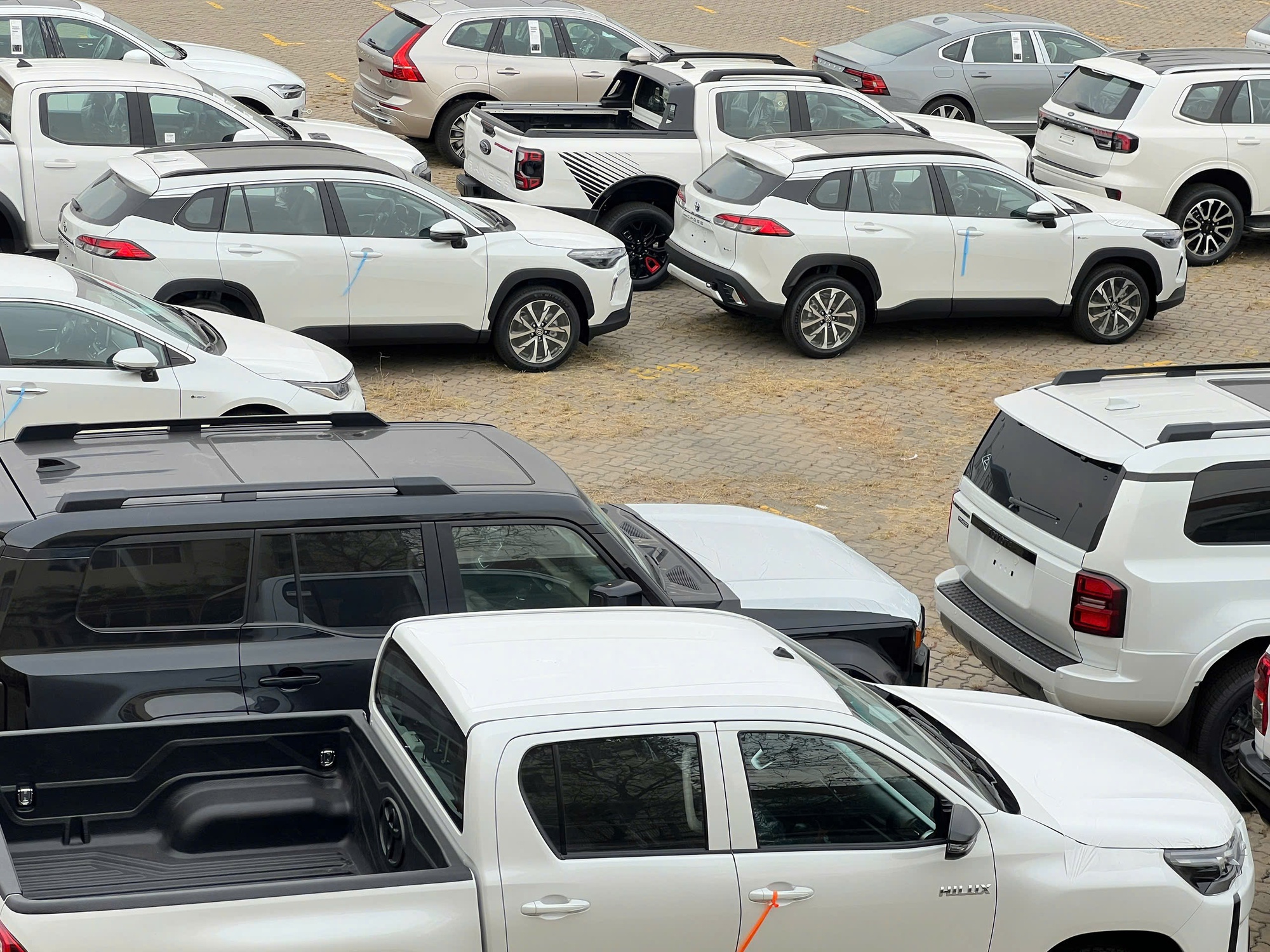 Hàng nghìn chiếc ô tô nhập khẩu tại cảng TP HCM